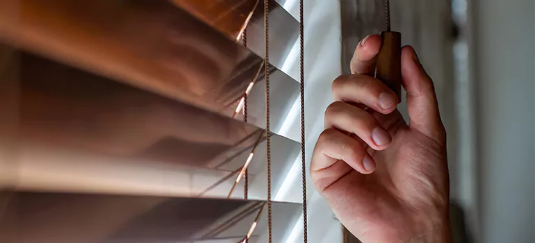 Double Roller Blinds in North Fort Myers, FL