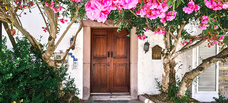 Traditional 4 Panel Internal Doors in North Fort Myers, FL