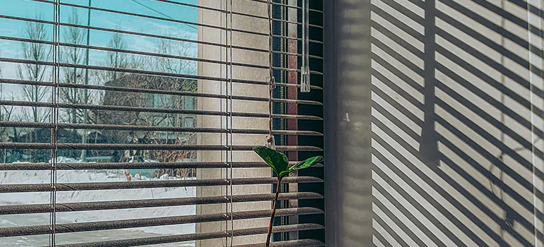 Commercial Window Blinds in North Fort Myers, FL