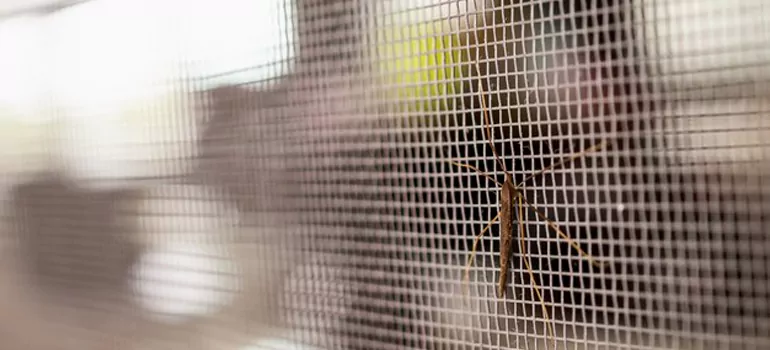 Repair Mosquito Mesh For Windows in North Fort Myers, FL