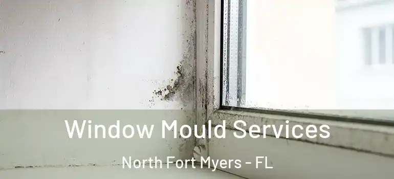 Window Mould Services North Fort Myers - FL